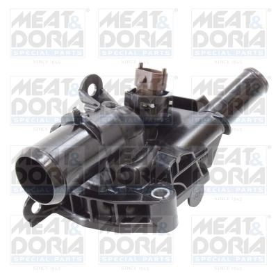 Thermostat, coolant